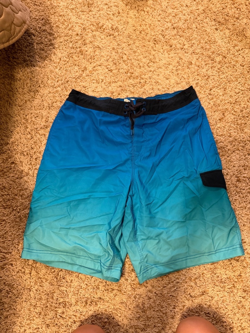 Speedo Teal-to-Aqua Gradient Swim Board Shorts with Black Waist